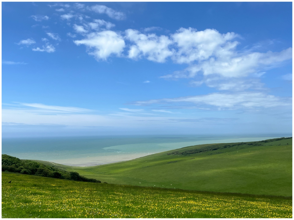 Up on the hills - East Dean